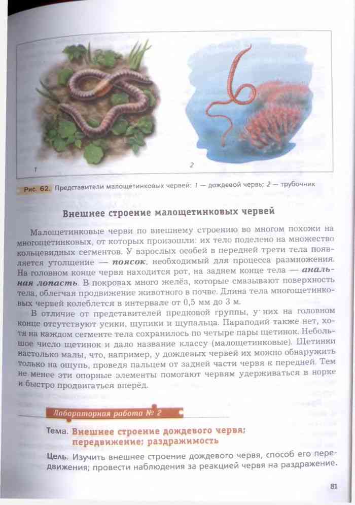 Учебник Биология 7 класс Константинов Бабенко читать онлайн